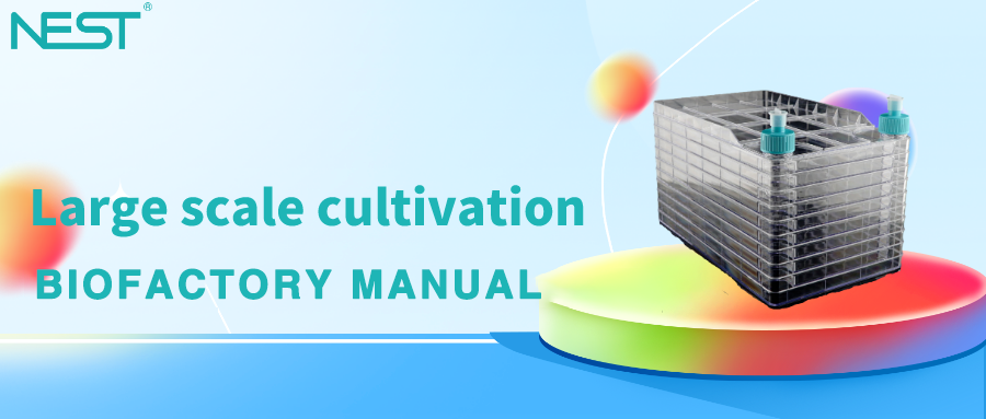What you need to know about large scale cultivation (Issue 2)—BioFactory Manual