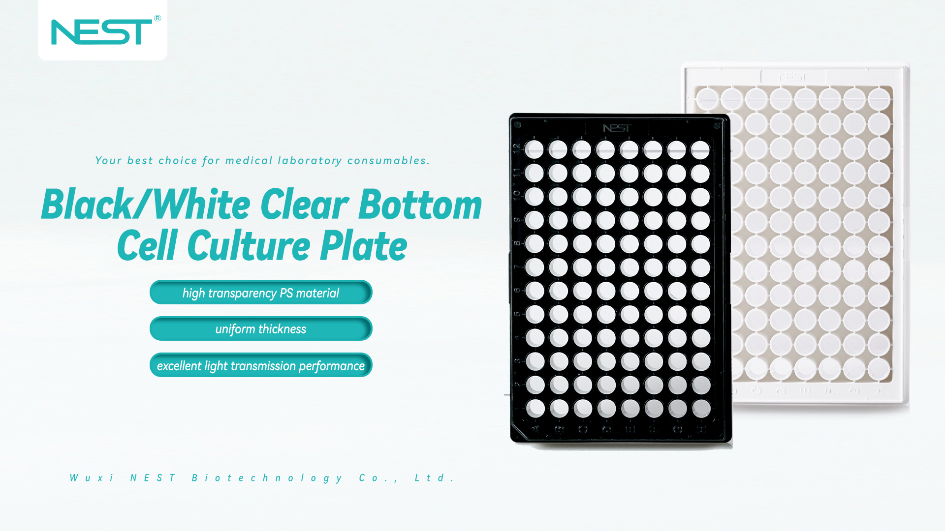 NEST Black/White Clear Bottom Cell Culture Plate—Your Go-To Solution for Different Lab Settings